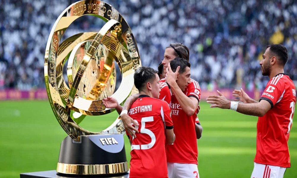 Benfica-Ackland City