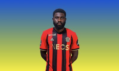 Boga ripiego low cost