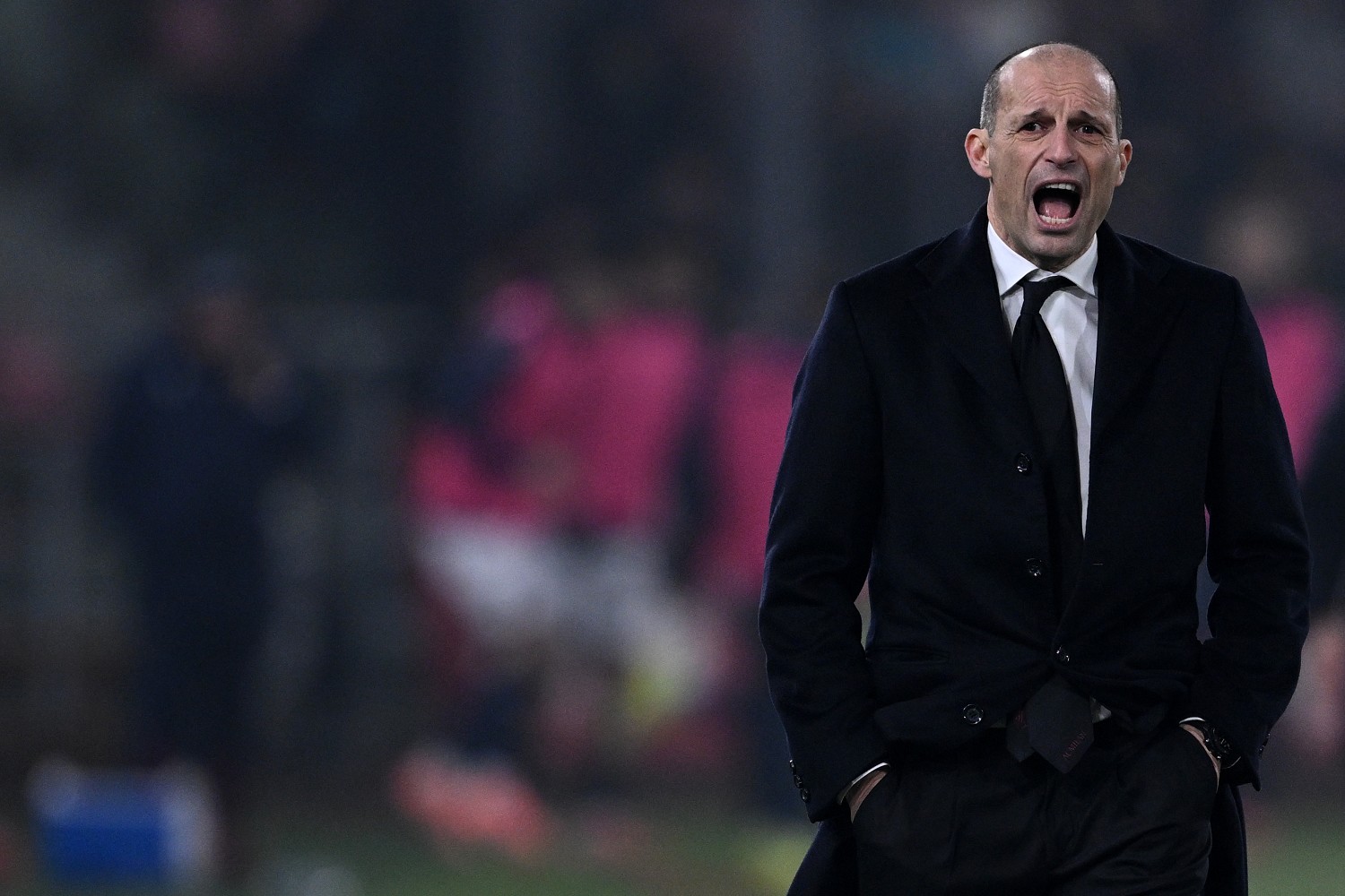 Allegri sulla